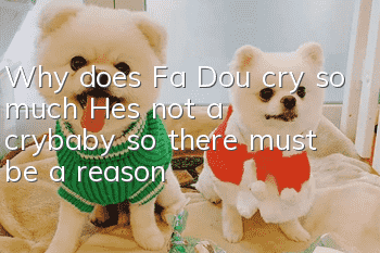 Why does Fa Dou cry so much? He’s not a crybaby, so there must be a reason!