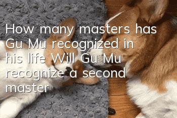 How many masters has Gu Mu recognized in his life? Will Gu Mu recognize a second master?