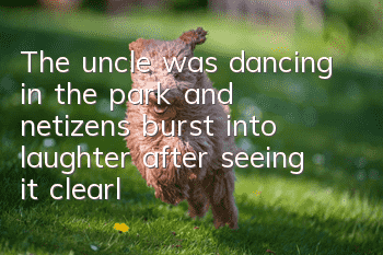 The uncle was dancing in the park, and netizens burst into laughter after seeing it clearly. Can dogs be used as dance partners? !