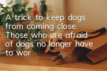 A trick to keep dogs from coming close. Those who are afraid of dogs no longer have to worry about going out!
