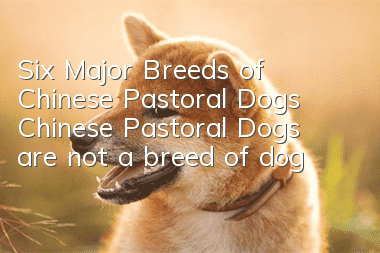 Six Major Breeds of Chinese Pastoral Dogs Chinese Pastoral Dogs are not a breed of dog