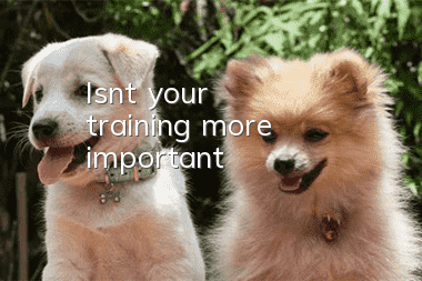 Isn't your training more important?