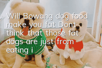 Will Bowang dog food make you fat? Don’t think that those fat dogs are just from eating it!