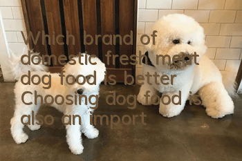 Which brand of domestic fresh meat dog food is better? Choosing dog food is also an important lesson!