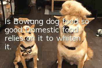 Is Bowang dog food so good? Domestic food relies on it to whiten it.