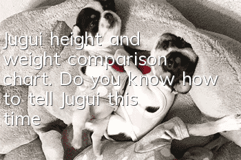 Jugui height and weight comparison chart. Do you know how to tell Jugui this time?