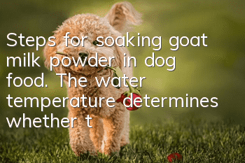 Steps for soaking goat milk powder in dog food. The water temperature determines whether the nutrition is comprehensive!