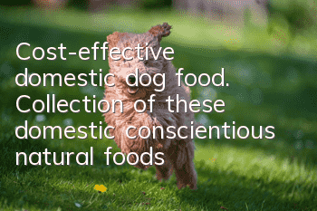 Cost-effective domestic dog food. Collection of these domestic conscientious natural foods!