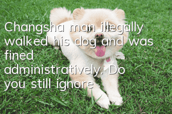 Changsha man illegally walked his dog and was fined administratively. Do you still ignore dog regulations for no reason?
