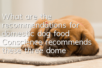 What are the recommendations for domestic dog food? Conscience recommends these three domestic dog foods.
