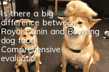 Is there a big difference between Royal Canin and Bowang dog food? Comprehensive evaluation of the two dog foods