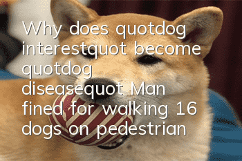 Why does "dog interest" become "dog disease"? Man fined for walking 16 dogs on pedestrian street