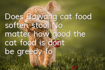 Does Bowang cat food soften stool? No matter how good the cat food is, don’t be greedy for too much