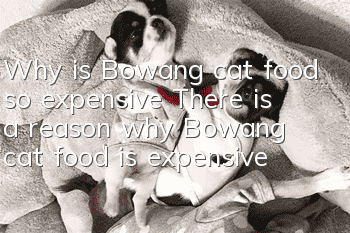 Why is Bowang cat food so expensive? There is a reason why Bowang cat food is expensive