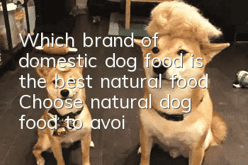Which brand of domestic dog food is the best natural food? Choose natural dog food to avoid wasting money!