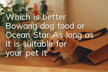 Which is better, Bowang dog food or Ocean Star? As long as it is suitable for your pet, it is a good dog food!