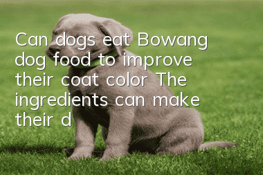 Can dogs eat Bowang dog food to improve their coat color? The ingredients can make their dogs’ hair shiny