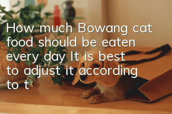 How much Bowang cat food should be eaten every day? It is best to adjust it according to the actual situation.