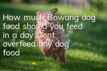 How much Bowang dog food should you feed in a day? Don’t overfeed any dog food!