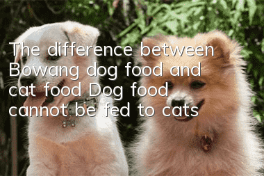 The difference between Bowang dog food and cat food: Dog food cannot be fed to cats!