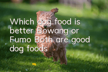 Which dog food is better, Bowang or Fumo? Both are good dog foods!