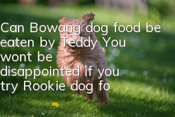 Can Bowang dog food be eaten by Teddy? You won’t be disappointed if you try Rookie dog food.
