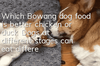 Which Bowang dog food is better, chicken or duck? Dogs at different stages can eat different ones.