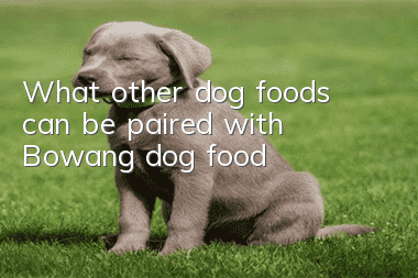 What other dog foods can be paired with Bowang dog food?