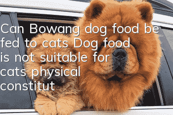 Can Bowang dog food be fed to cats? Dog food is not suitable for cats’ physical constitution!