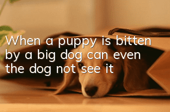 When a puppy is bitten by a big dog, can even the dog not see it?