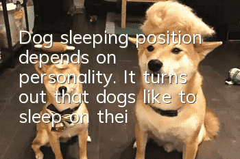 Dog sleeping position depends on personality. It turns out that dogs like to sleep on their sides because...