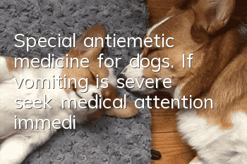 Special antiemetic medicine for dogs. If vomiting is severe, seek medical attention immediately!