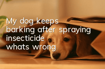 My dog keeps barking after spraying insecticide, what's wrong?
