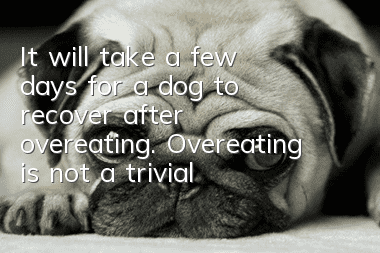 It will take a few days for a dog to recover after overeating. Overeating is not a trivial matter.