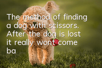 The method of finding a dog with scissors. After the dog is lost, it really won’t come back on its own.