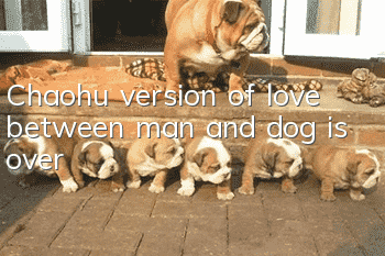 Chaohu version of love between man and dog is over