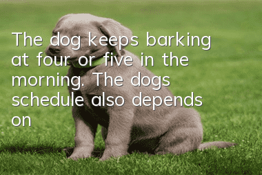 The dog keeps barking at four or five in the morning. The dog’s schedule also depends on its owner!