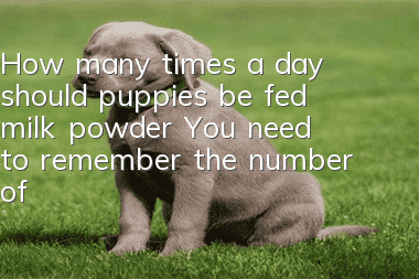 How many times a day should puppies be fed milk powder? You need to remember the number of times to feed milk powder.
