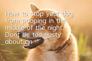 How to stop your dog from pooping in the middle of the night. Don’t be too hasty about anything with your dog.