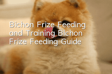 Bichon Frize Feeding and Training Bichon Frize Feeding Guide