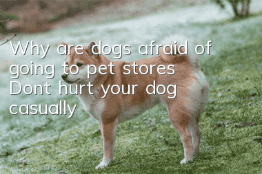 Why are dogs afraid of going to pet stores? Don’t hurt your dog casually