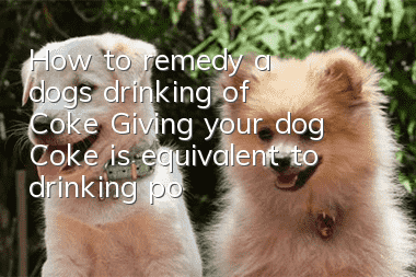 How to remedy a dog’s drinking of Coke? Giving your dog Coke is equivalent to drinking poison.
