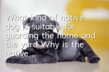 What kind of native dog is suitable for guarding the home and the yard? Why is the native dog suitable for guarding the house and the yard?