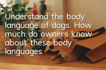 Understand the body language of dogs. How much do owners know about these body languages?