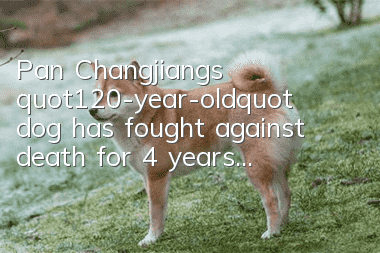Pan Changjiang's "120-year-old" dog has fought against death for 4 years...