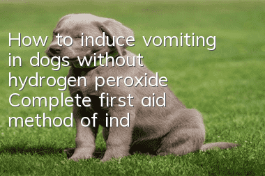 How to induce vomiting in dogs without hydrogen peroxide? Complete first aid method of inducing vomiting in dogs