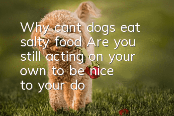 Why can’t dogs eat salty food? Are you still acting on your own to be “nice” to your dog?