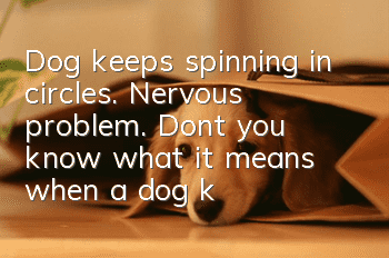 Dog keeps spinning in circles. Nervous problem. Don’t you know what it means when a dog keeps spinning in circles?