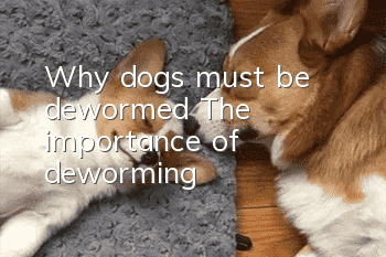 Why dogs must be dewormed? The importance of deworming