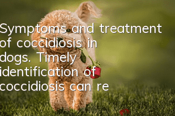 Symptoms and treatment of coccidiosis in dogs. Timely identification of coccidiosis can restore your dog’s health.